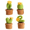 4Pcs Potted Plants Crochet Kit DIY Crochet Starter Kit Crochet Set for Beginners