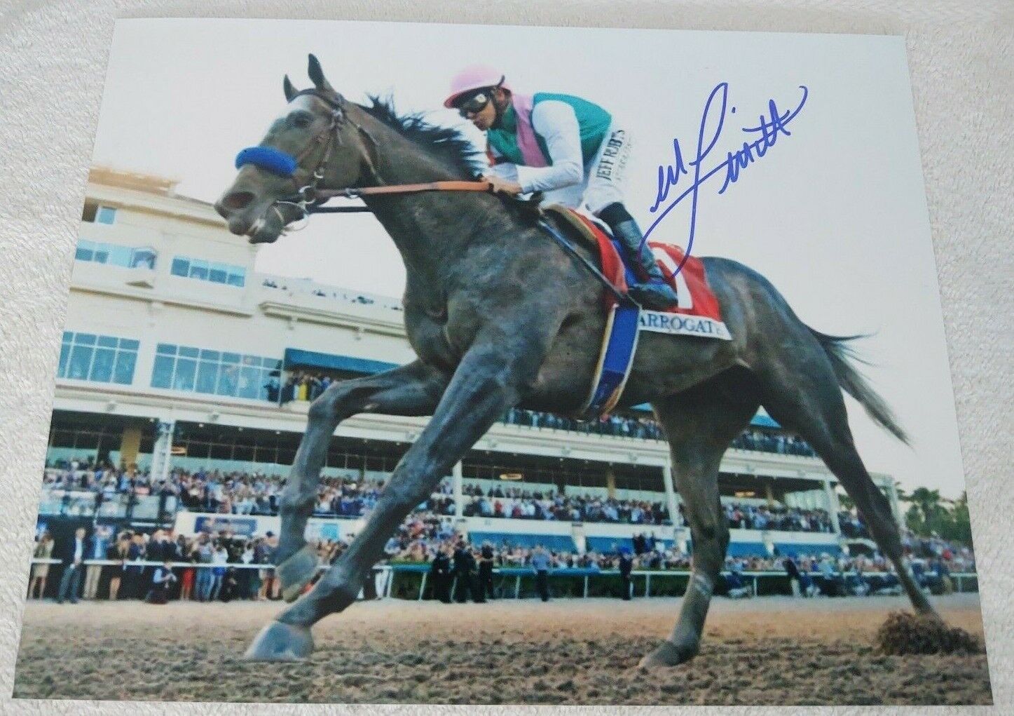 MIKE SMITH ARROGATE 2017 PEGASUS WORLD CUP SIGNED 8x10 HORSE RACING Photo Poster painting