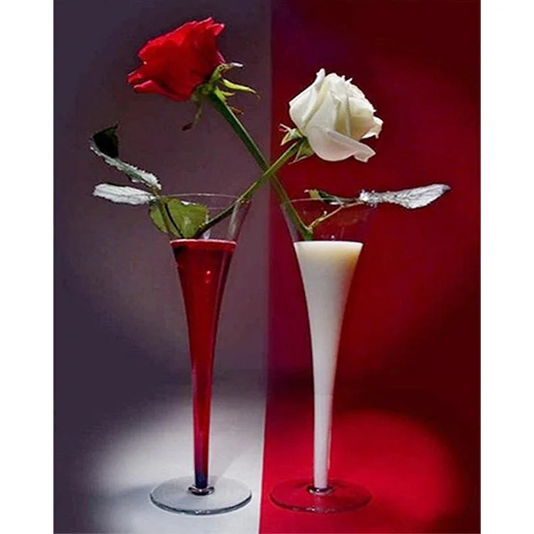 Red Rose White Rose - Painting By Numbers - 40*50CM gbfke