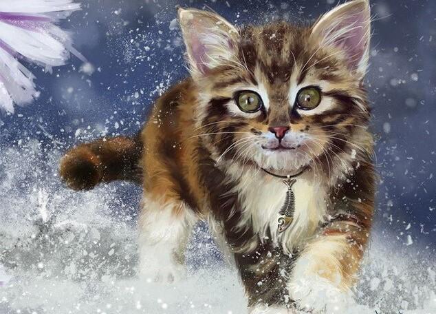 

Cat Running in Snow – Paint By Numbers - 40*50CM, 501 Original