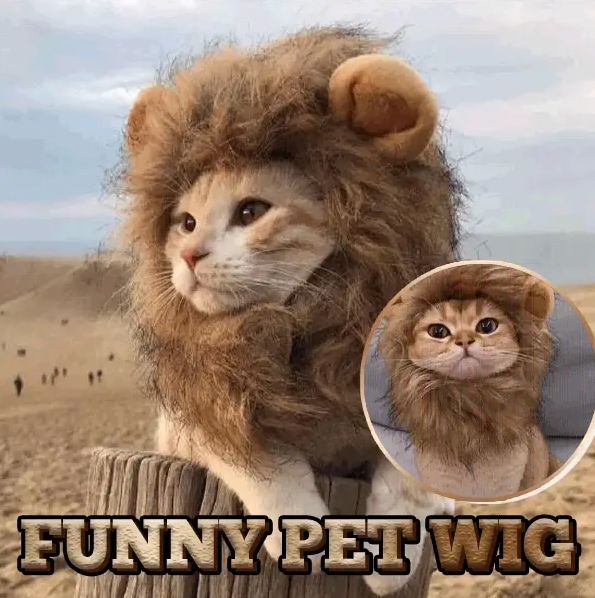 Funny Pet Wig
