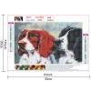 Dog Couple | Full Round Diamond Painting Kits