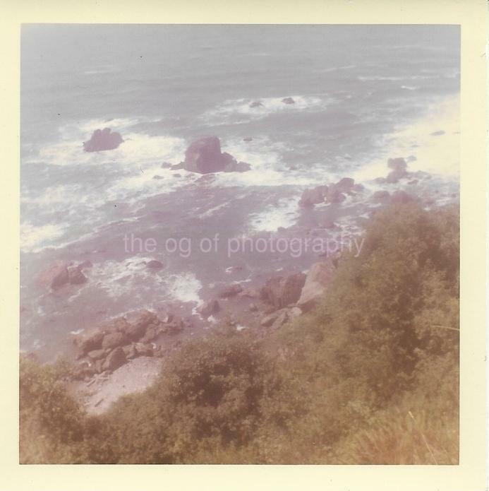 Patrick's Point FOUND Photo Poster painting Color CALIFORNIA COAST Original Snapshot 910 10 A