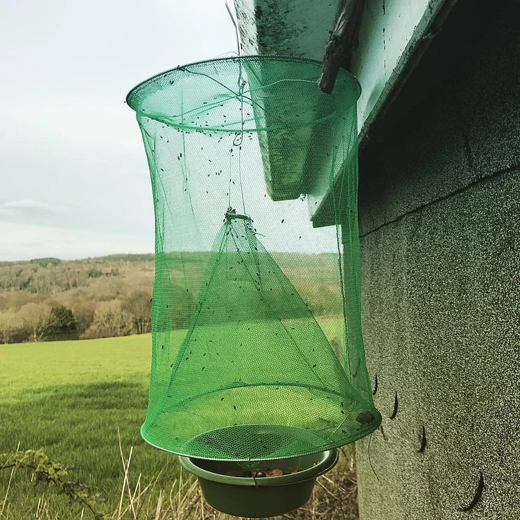 portable nontoxic fly mosquito trap 1