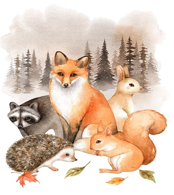 

Fox And His Friends – Paint By Numbers - 40*50CM, 501 Original