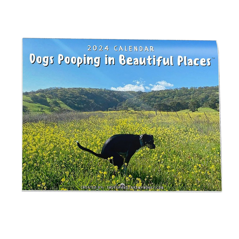 2024 Calendar Funny Dogs Pooping in Beautiful Places Calendar Christmas Gag Gift