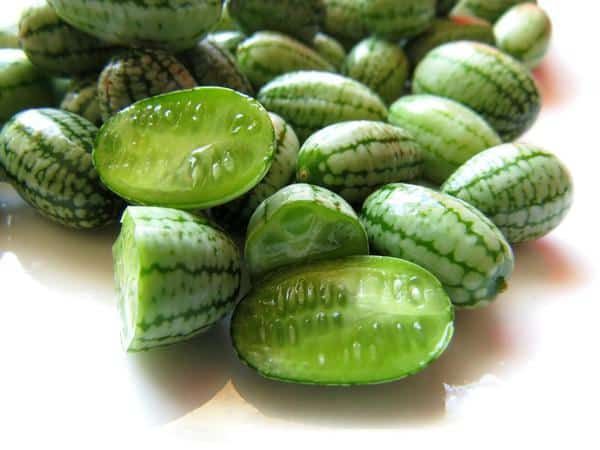 This may contain: green cucumbers on a white surface with water droplets