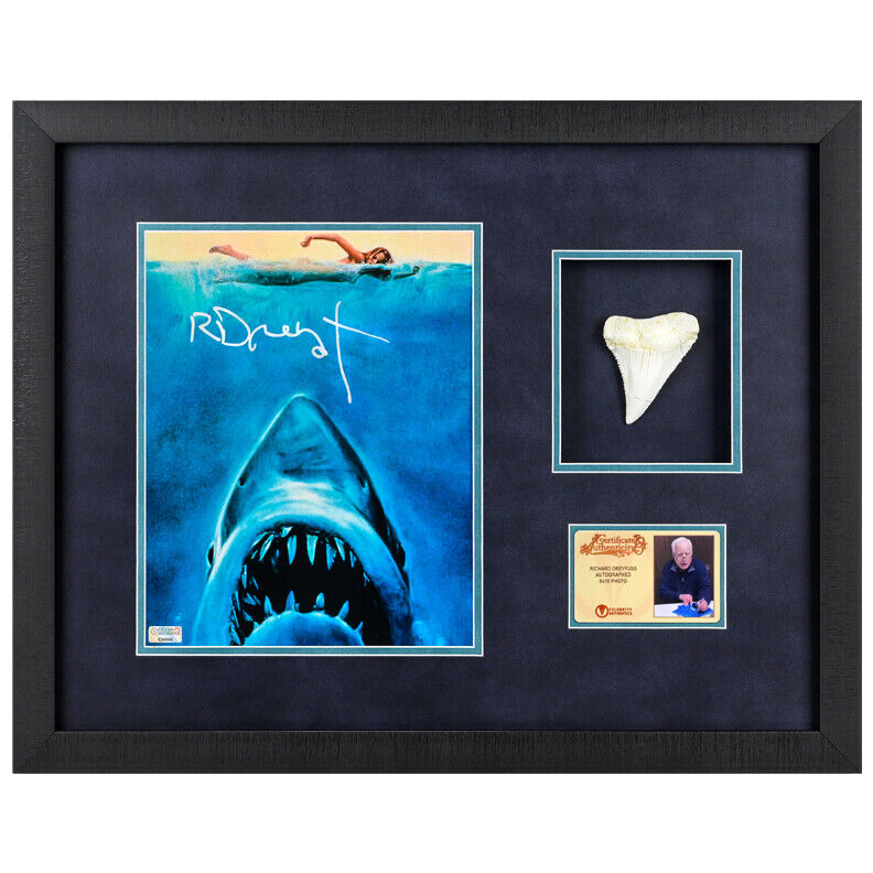 Richard Dreyfuss Autographed Jaws 8x10 Photo Poster painting with Shark Tooth Framed Display