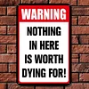 Warning Nothing In Here is Worth Dying for - Vintage Metal Signs(8*12Inch/12*16Inch) - Warning