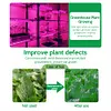 5M Flower Plant Phyto Growth Lamp 2835 SMD for Plants Hydroponics Growing System