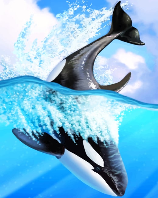 

Orca Whale Art – Paint By Numbers - 40*50CM, 501 Original