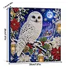 (20x20cm)Owl DIY Pearl Painting Art Kits With Inner Frame Pearl Gem Paintings Picture Arts Craft for Adults Beginners Home Wall Decor