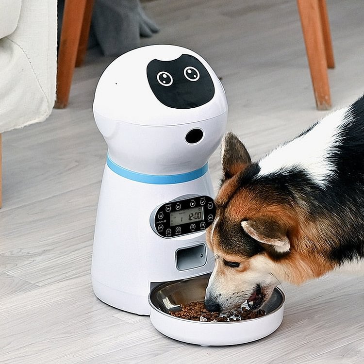Automatic Pet Dog Feeder With Timer