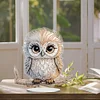 DIY Owl-Diamond Painting Ornaments（Single-Sided)
