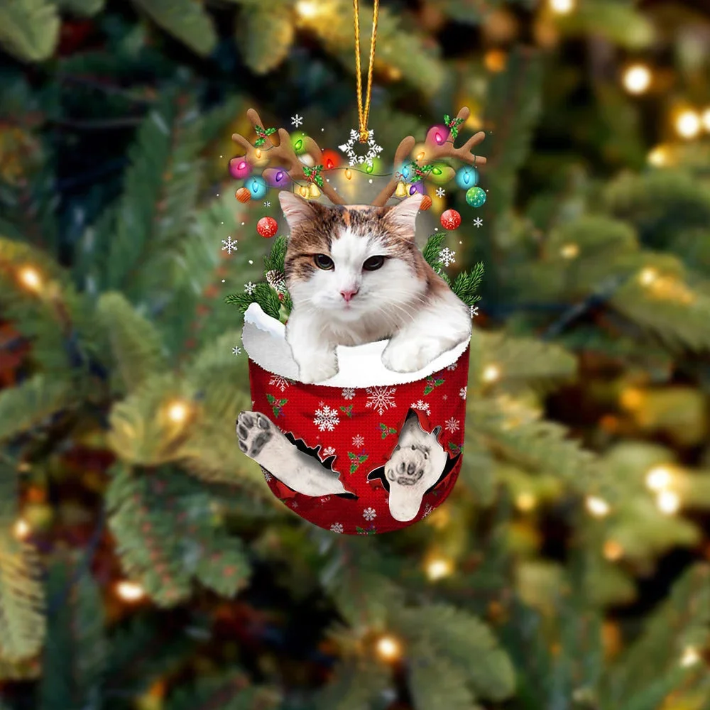Cat 29 In Snow Pocket Christmas Ornament.