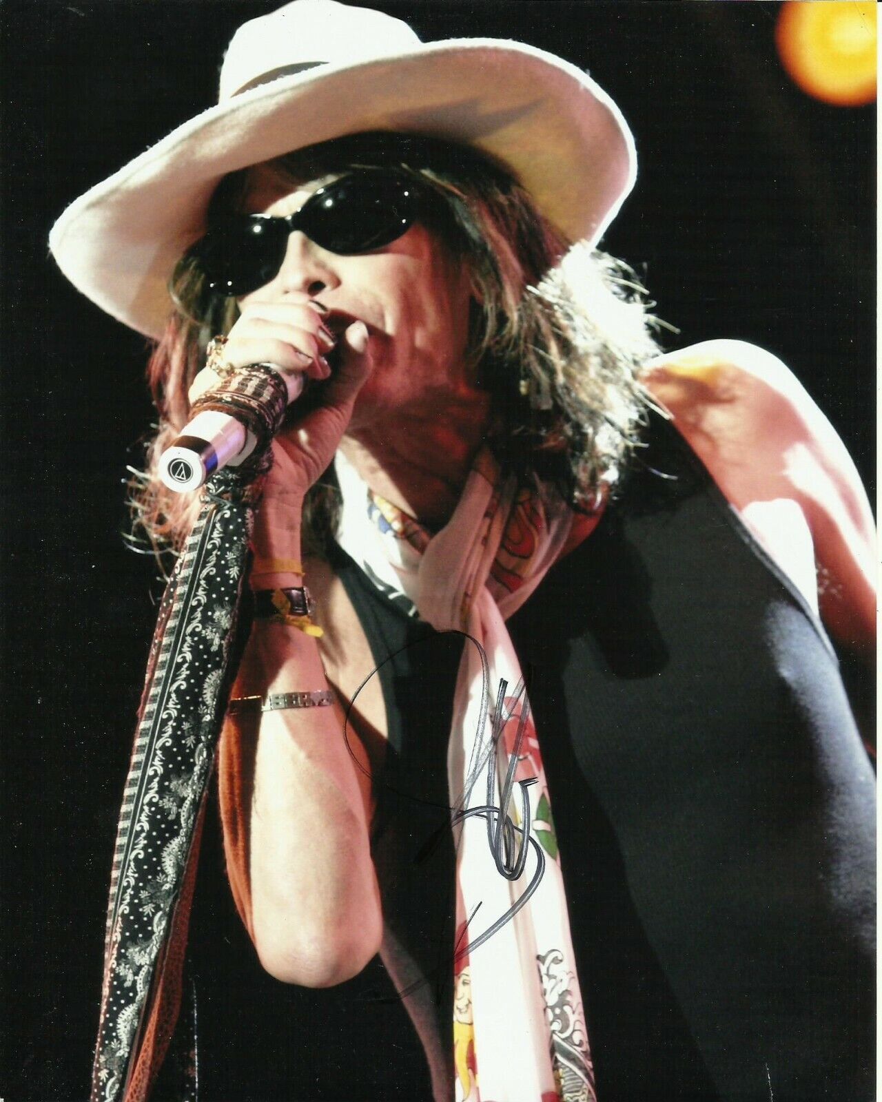 STEVEN TYLER SIGNED AEROSMITH Photo Poster painting UACC REG 242 (9)