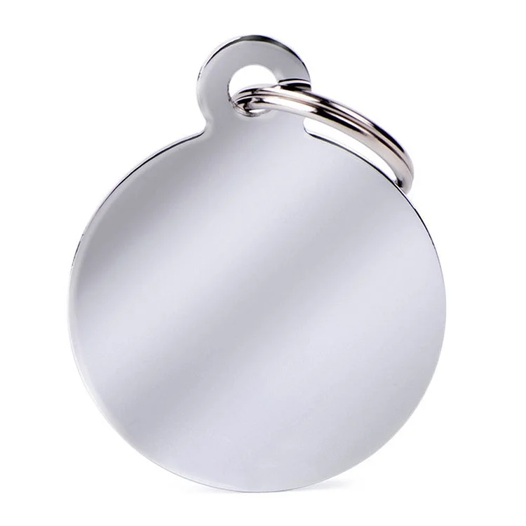 Big Circle Silver