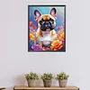 Bouledogue-Carré Diamant Peinture-45*55CM
