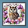 Diamond Painting-DIY Full Round Drill Owl(40*40CM)