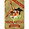 Cocktail Girl - Vintage Metal Signs - 20*30cm/30*40cm