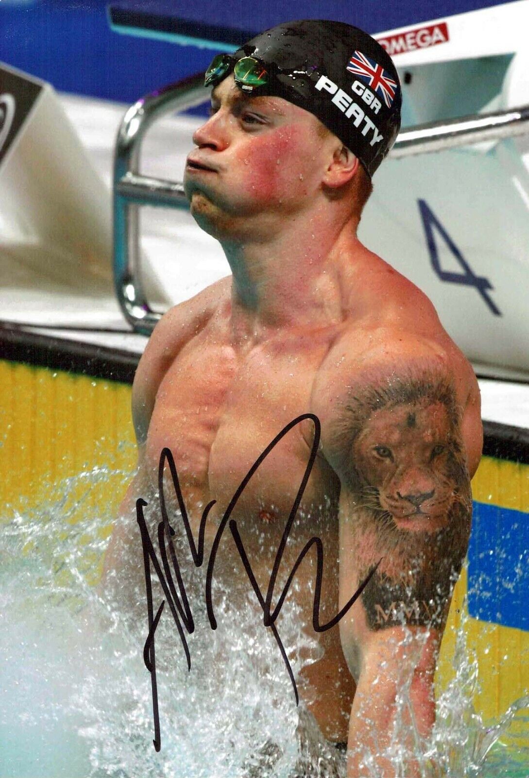 Adam PEATY Gold Medal Olympic Swimmer Autograph Signed 12x8 Photo Poster painting AFTAL COA