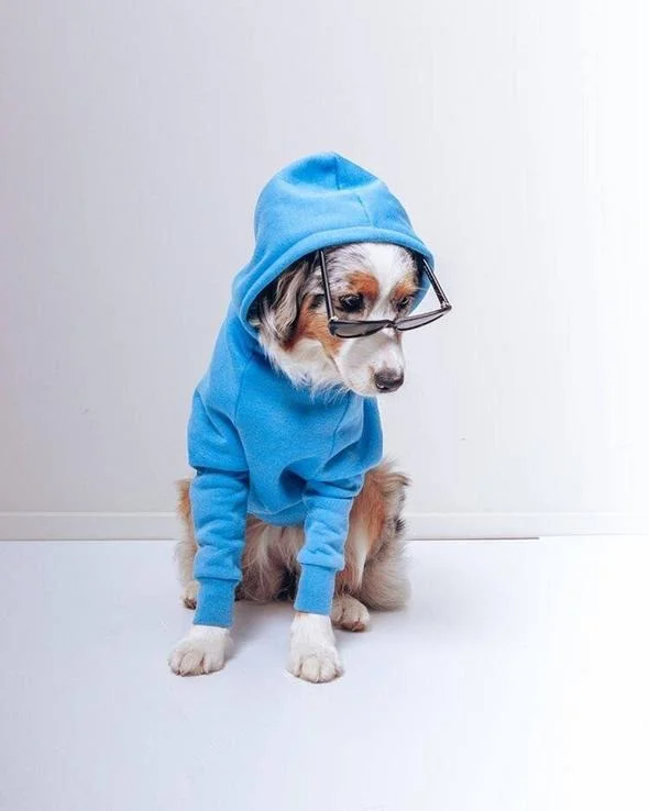 Blue Matching Dog and Owner Hoodies