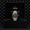 Tudor Black Bay Steel and Gold