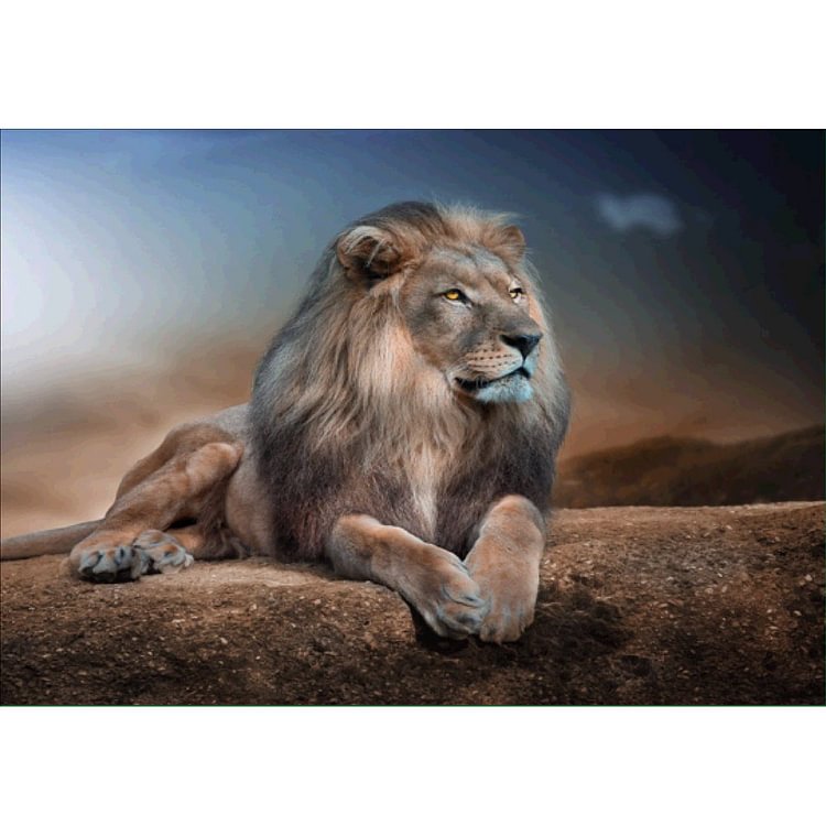 Lion Round Drill Diamond Painting 40X30CM(Canvas) gbfke