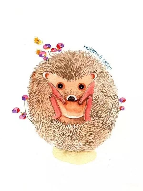 

Domesticated Hedgehog – Paint By Numbers - 40*50CM, 501 Original