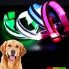 Pet LED Luminous Collar-Cattlan-Adracos