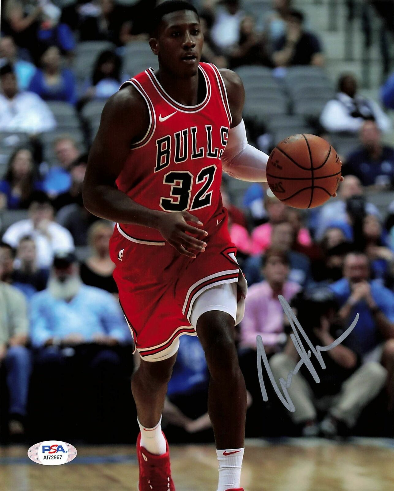 KRIS DUNN signed 8x10 Photo Poster painting PSA/DNA Chicago Bulls Autographed