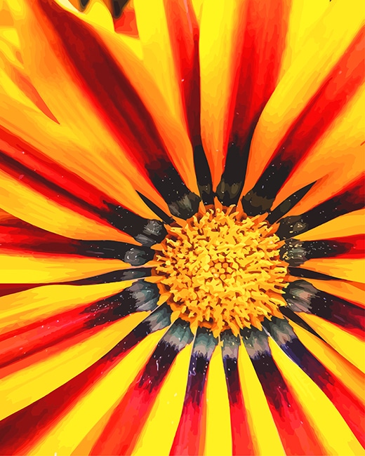 

Gazania big kiss yellow details – Paint By Numbers - 40*50CM, 501 Original
