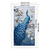 Peacock - 9CT Full Beaded Cross Stitch Kit(30x56cm)