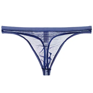 Men's Sexy Silk Mesh Bikini Thin Thong