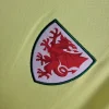2024 Wales Away Football Shirt 1:1 Thai Quality