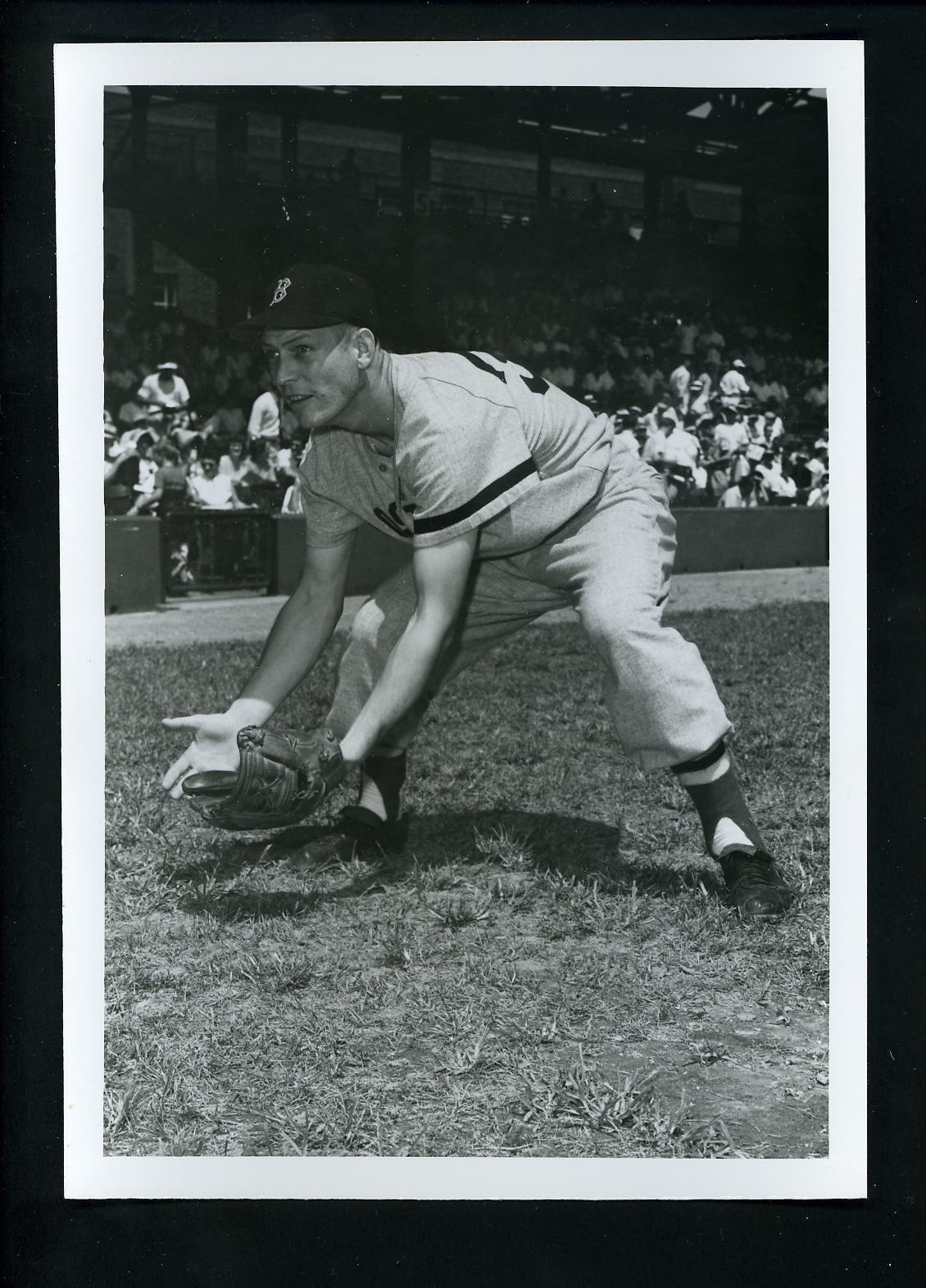 Billy Klaus circa 1955 Press Original Photo Poster painting by Don Wingfield Boston Red Sox