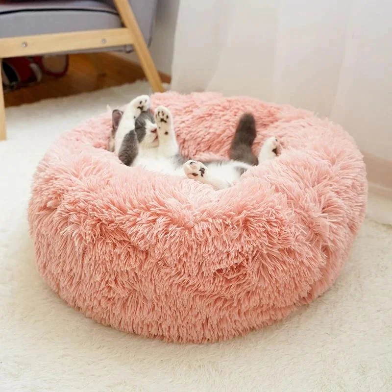 Orthopedic Cat Bed - The Anti-Anxiety Calming Bed for Cats