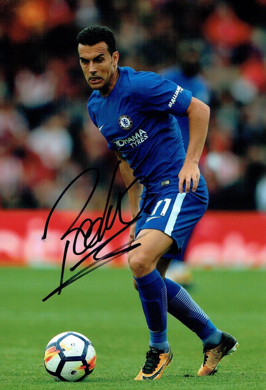 PEDRO 2018 Signed Autograph 12x8 Photo Poster painting 3 AFTAL COA Chelsea Premier League