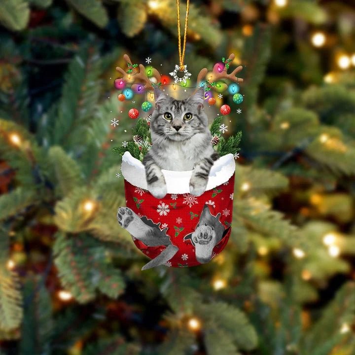 Maine Cat In Snow Pocket Christmas Ornament.