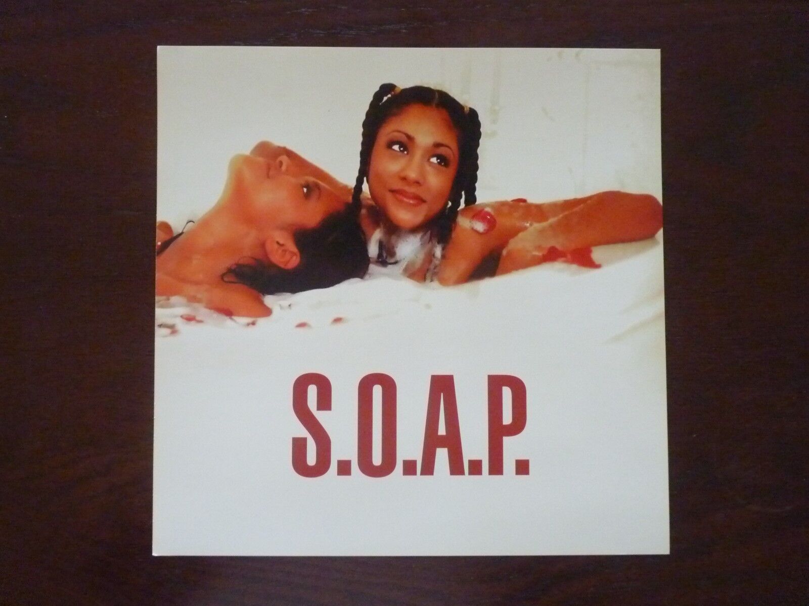 S.O.A.P. SOAP LP Record Photo Poster painting Flat 12x12 Poster