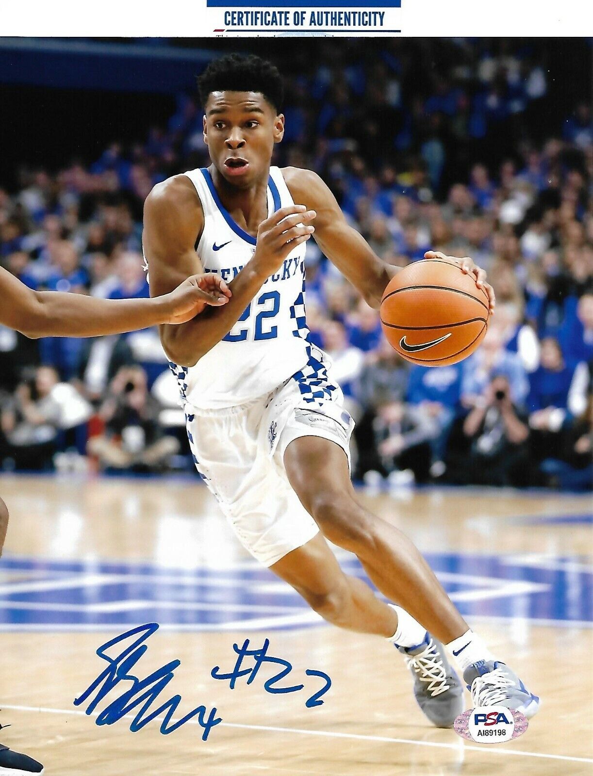 SHAI GILGEOUS ALEXANDER signed KENTUCKY WILDCATS 8X10 Photo Poster painting w/ COA PSA AI89198