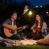 Solar Powered Kingfisher Garden Stake Lantern Outdoor Warm LED Decor