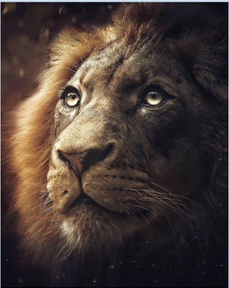 Nordic Style Cute Animal Lion Tiger Leopard Poster Sofa Bedroom Corridor Home Background Wall Decoration Painting Core