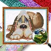 【Limited Stock Sale】Pug-Partial 9CT Stamped Cross Stitch Bead Embroidery 39*32cm tapestrymarket