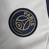 2023/2024 Paris Saint-Germain Training Wear Football Shirt 1:1 Thai Quality