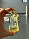Lightning in a bottle｜Lichtenberg diagram｜Particle accelerator production｜Lightning crafts ornaments and gifts