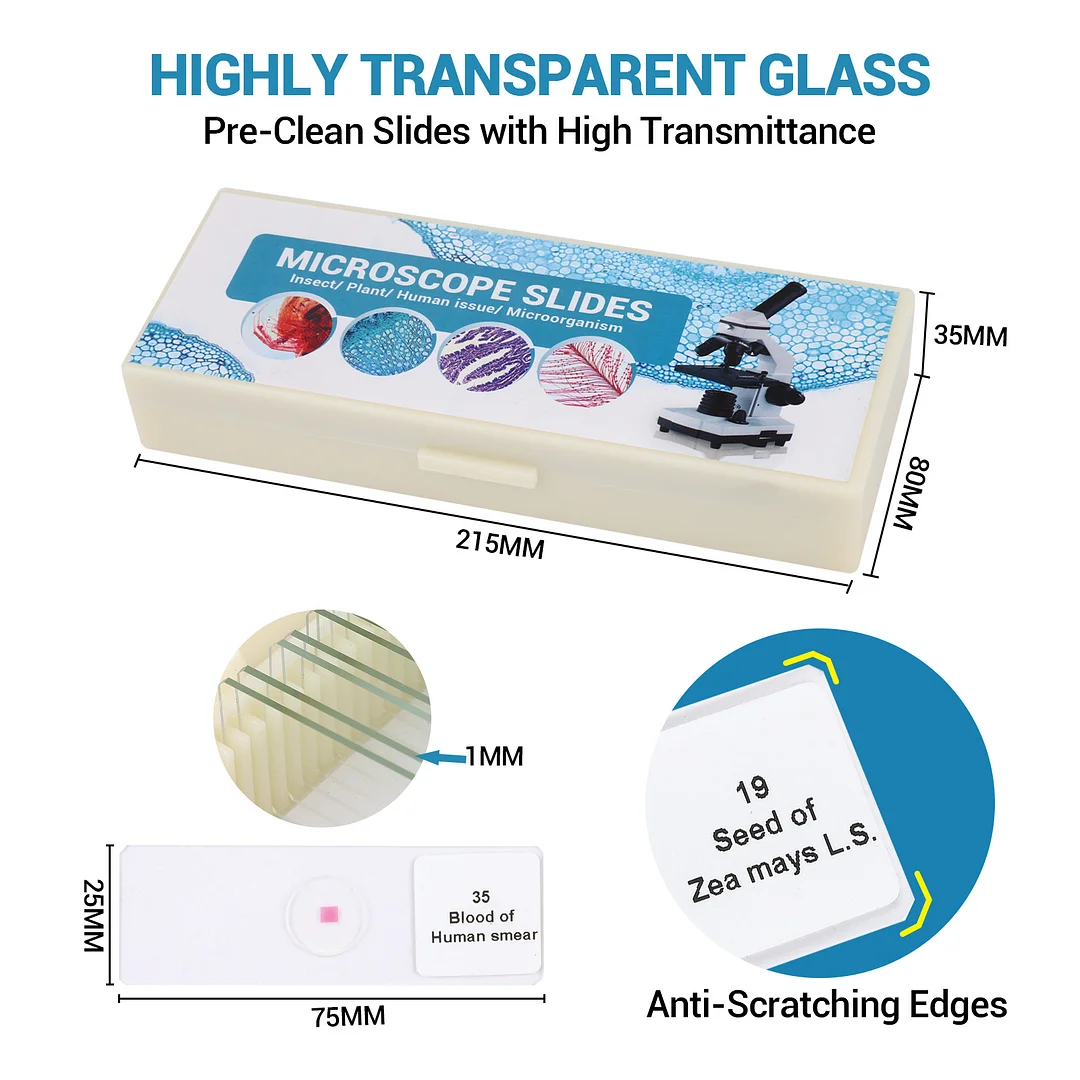 BEBANG 60 Microscope Slides with Specimens for Kids, Prepared ...