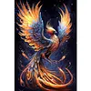 Colorful Phoenix-11CT Stamped Cross Stitch 40*60cm tapestrymarket