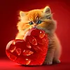 Love Dog Cat-Full Round Diamond Painting 30*30CM
