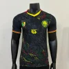 2026 Player Version Cameroon Soccer Jersey Second Away